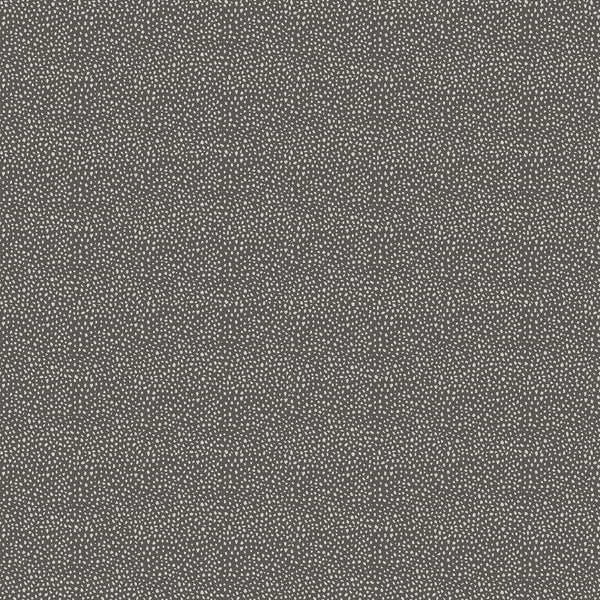 Wild One - Dark Gray Dots