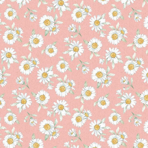 Daisy Days - Pink Daisies