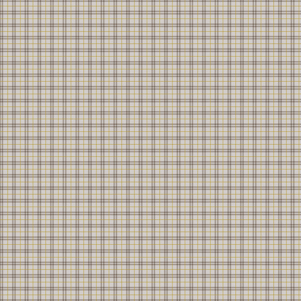 Winter Dreams - Taupe Gingham