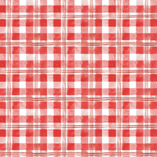 Field Trip - Red Gingham