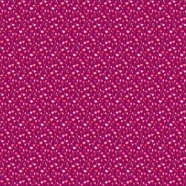 Florescence Magenta Crocus