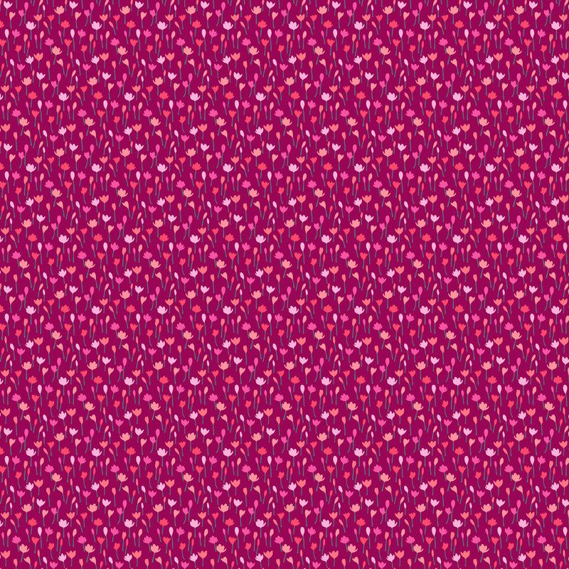 Florescence Magenta Crocus