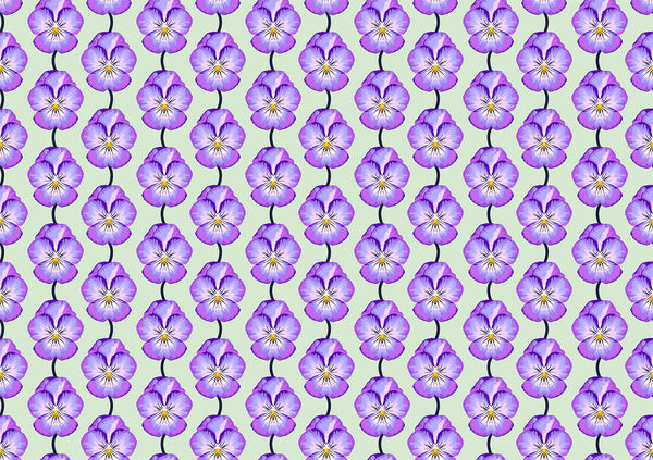 Iconic - Lavender Pansy