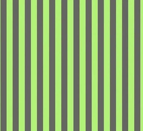 Tula Pink Neon True Colors - Neon Tent Strip Karma