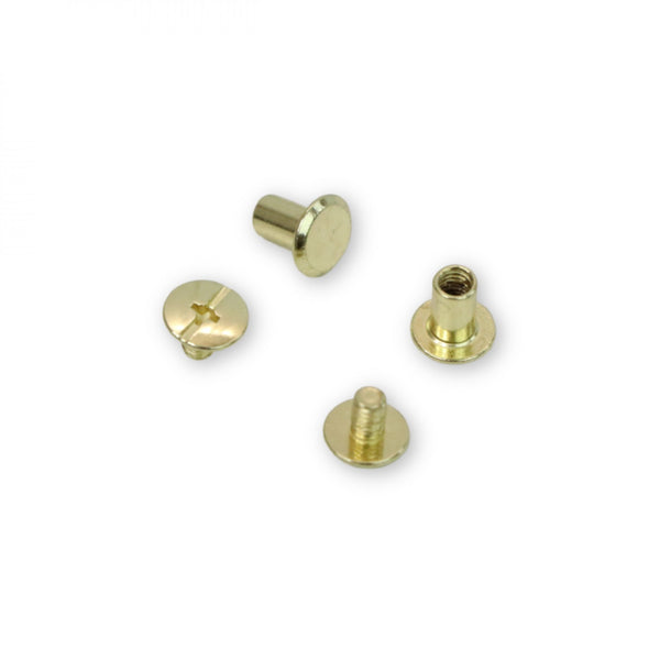 12 Medium Chicago Screws 8mm Gold