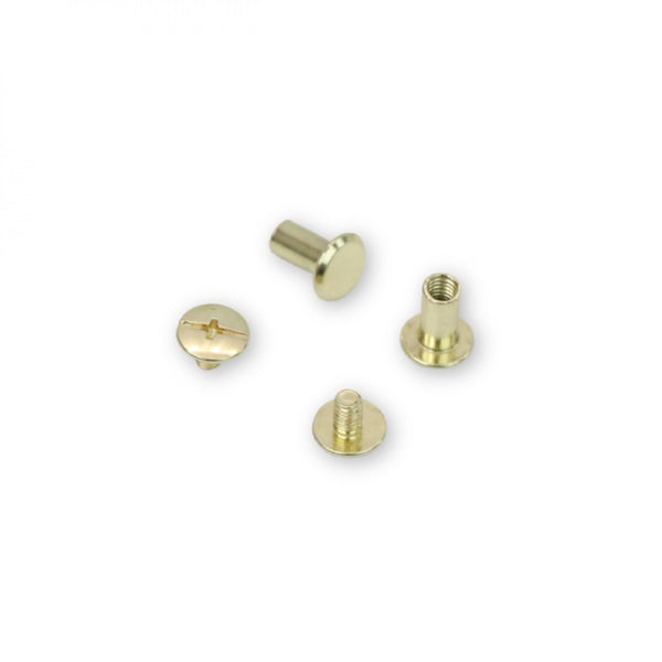 12 Large Chicago Screws 10mm Gold